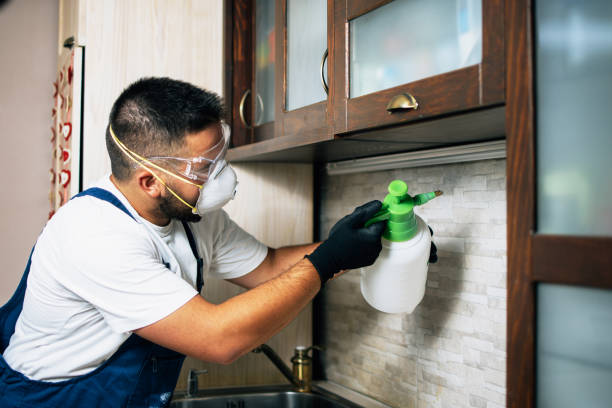 Reliable Jamestown, CA Pest Control Solutions