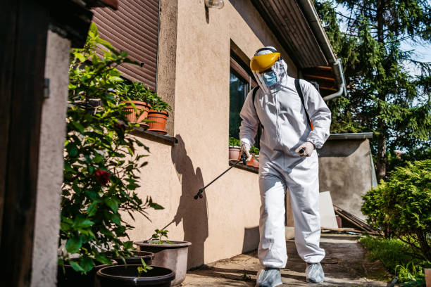 Best Emergency Pest Control  in Jamestown, CA