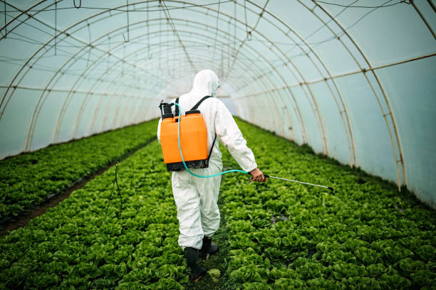 Best Mosquito Control Services  in Jamestown, CA