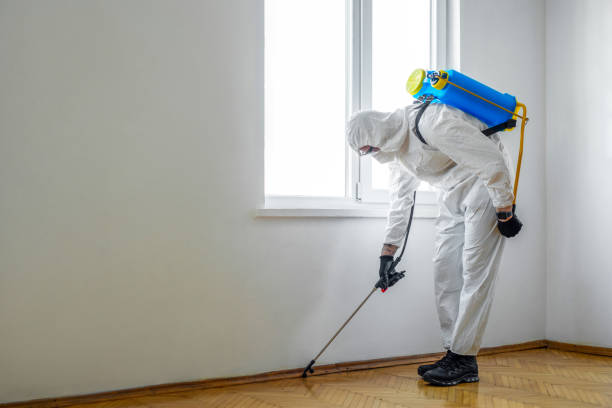 Best Wildlife Control Services  in Jamestown, CA