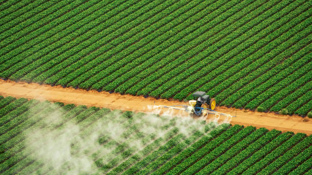 Best Termite Control Services  in Jamestown, CA