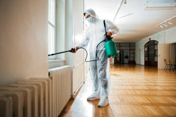 Best Local Pest Control Services  in Jamestown, CA
