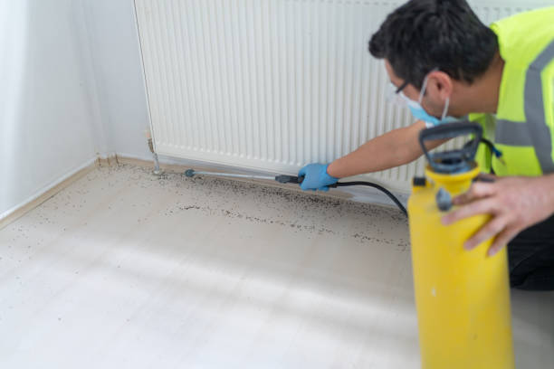 Best Wasp Removal Services  in Jamestown, CA