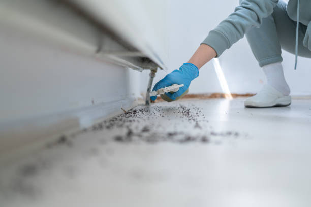 Best Pest Prevention Services  in Jamestown, CA