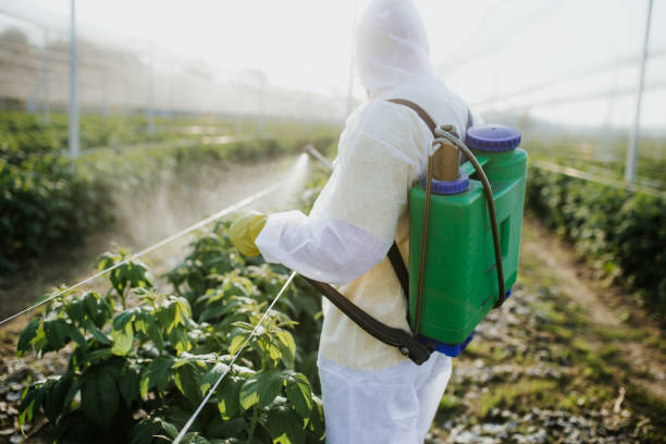 Best Ant Control Services  in Jamestown, CA
